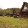IMGP5237