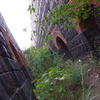 IMGP3573