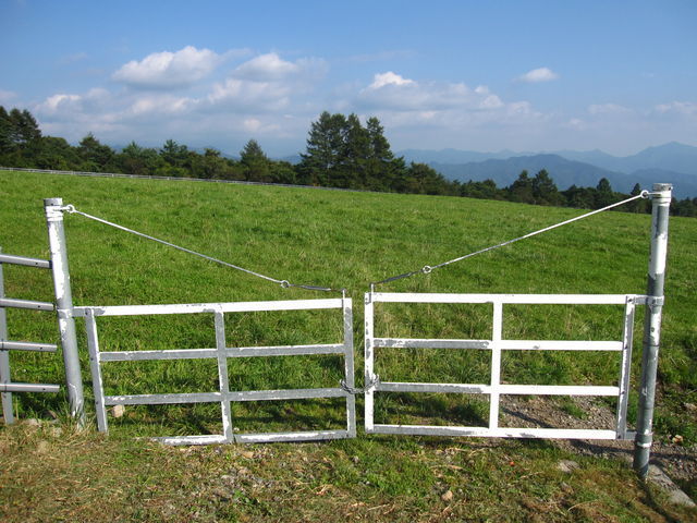 草原