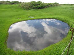 地中の空