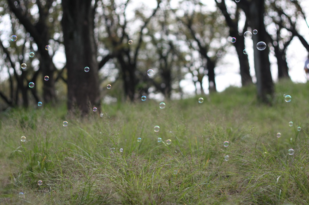 ふわふわゆらゆら