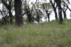 ふわふわゆらゆら