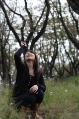 ここにもあった