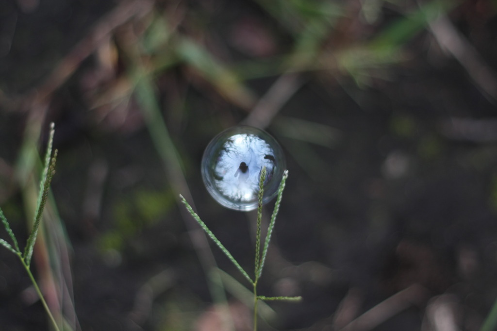シャボン玉の中の空