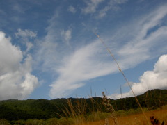 秋の空