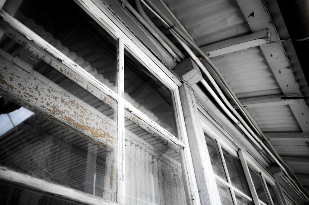 windows