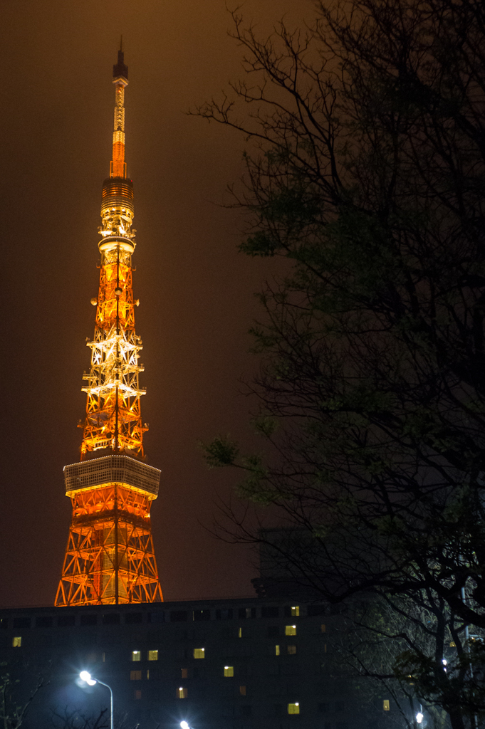 2012-04-29　東京タワー