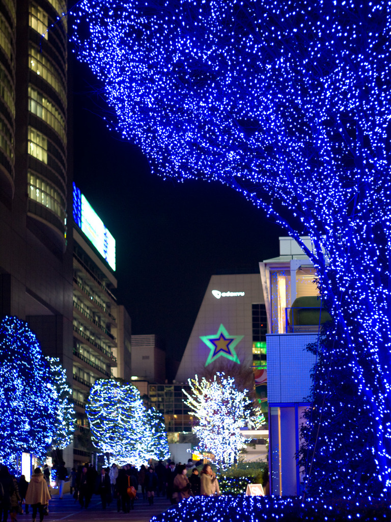 2011-01-14 新宿サザンテラス・イルミネーション