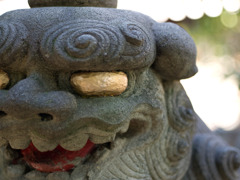 2010-11-03 白山神社