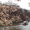 2011-04-02 井の頭公園