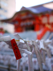 2010-10-011 花園神社　おみくじ