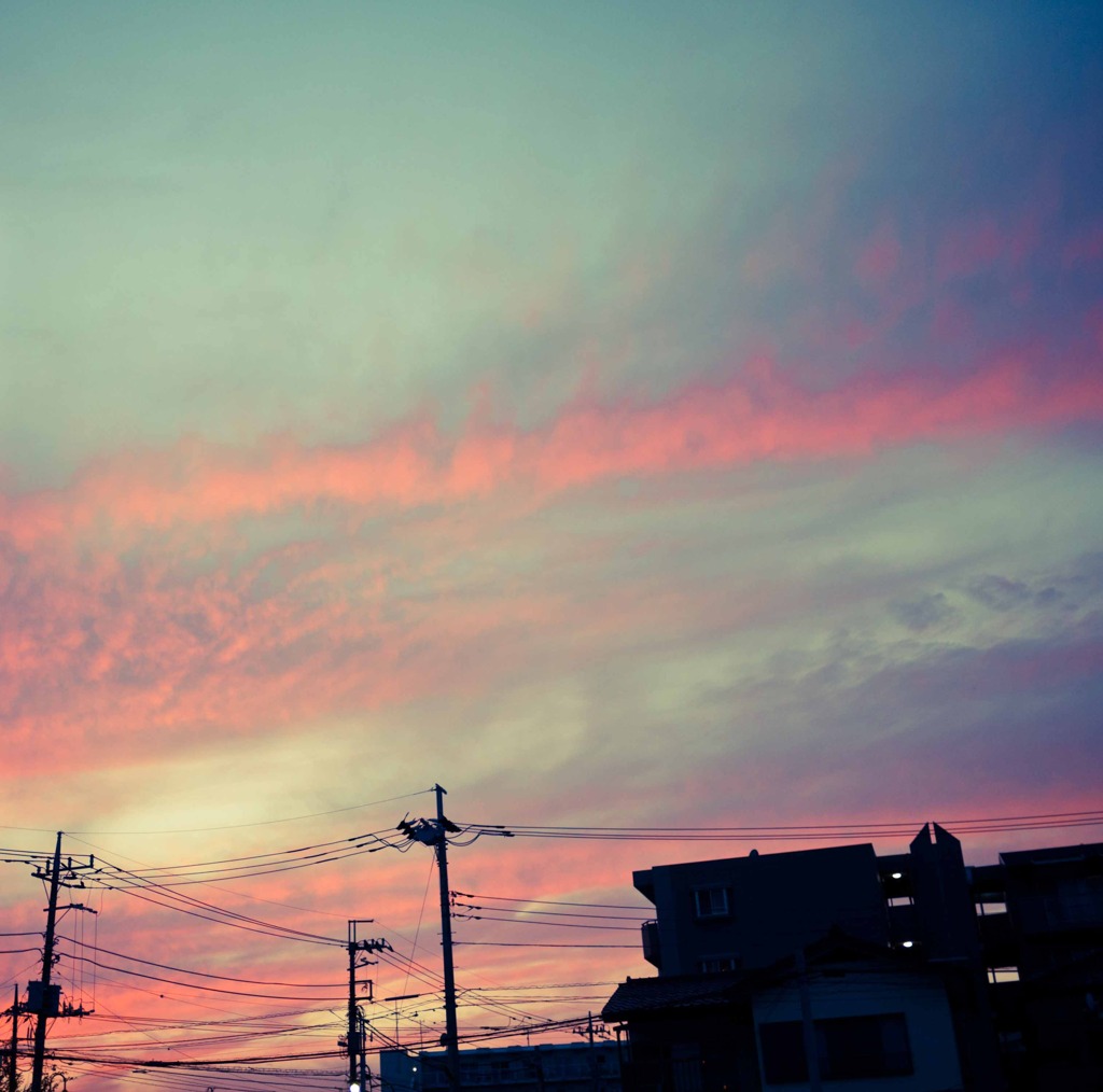 柏の空