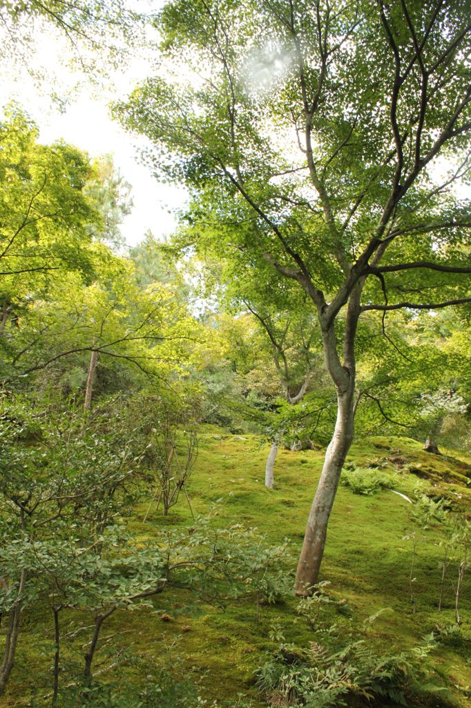京都