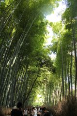 竹林通り
