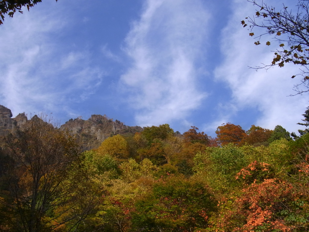 秋晴れに紅葉