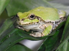 カメラ目線じゃん！