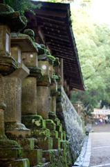 菩提寺の風景
