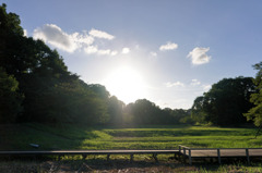 a park