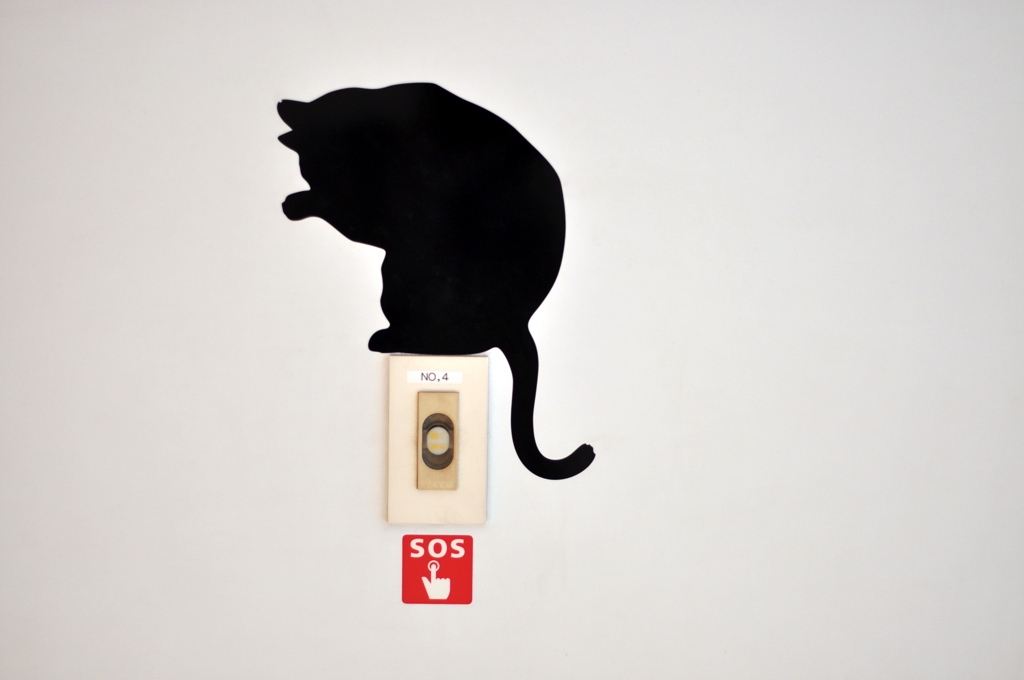 その猫、毛づくろい中につき