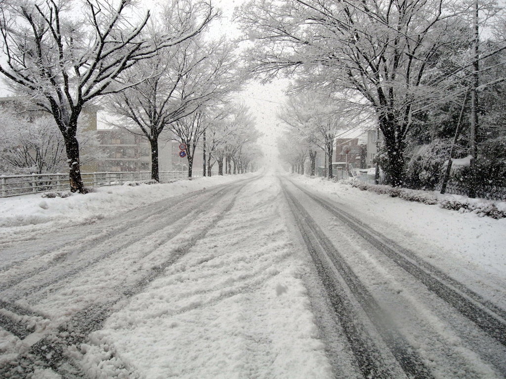 snow road