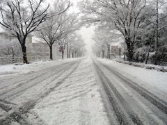 snow road