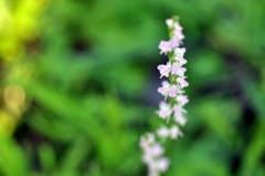 巻いて、曲がれ