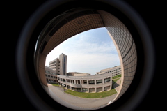 in the Circle