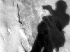 ShadowSelfPortrait
