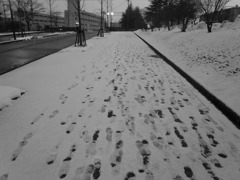 not alone。