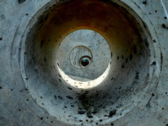 h01e