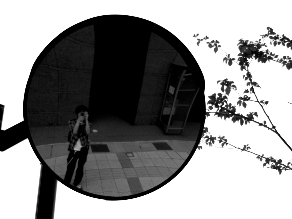 in Circle