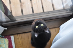 だから、