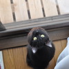 だから、