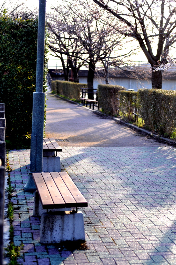 春の陽降り、注ぐ