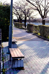 春の陽降り、注ぐ