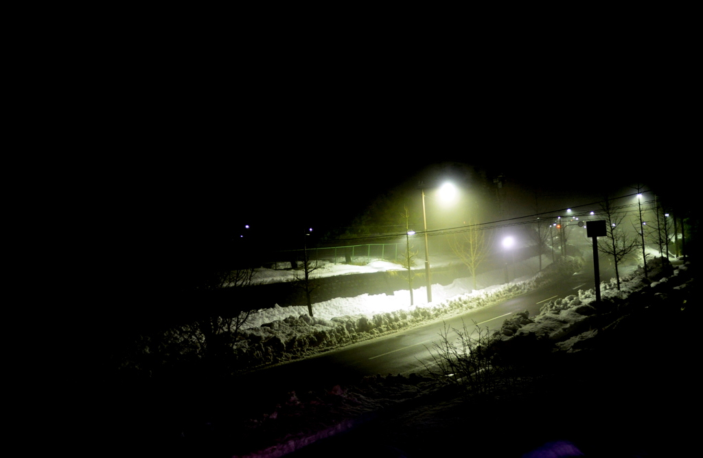 夜霧を照らす