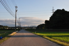 道路