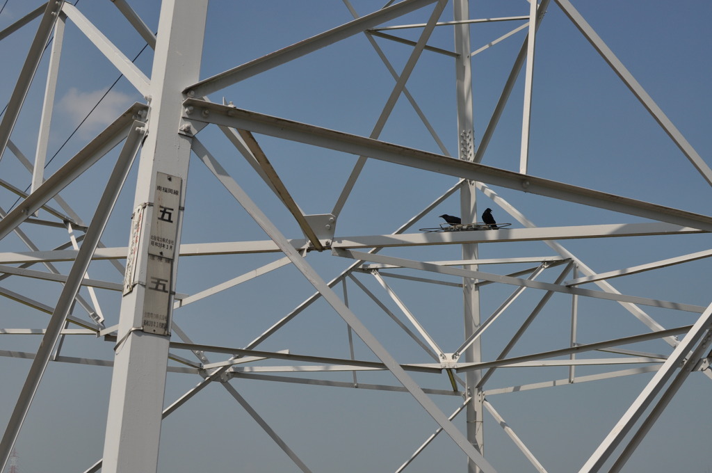 「あっちーな…」「俺ら黒だから余計…」