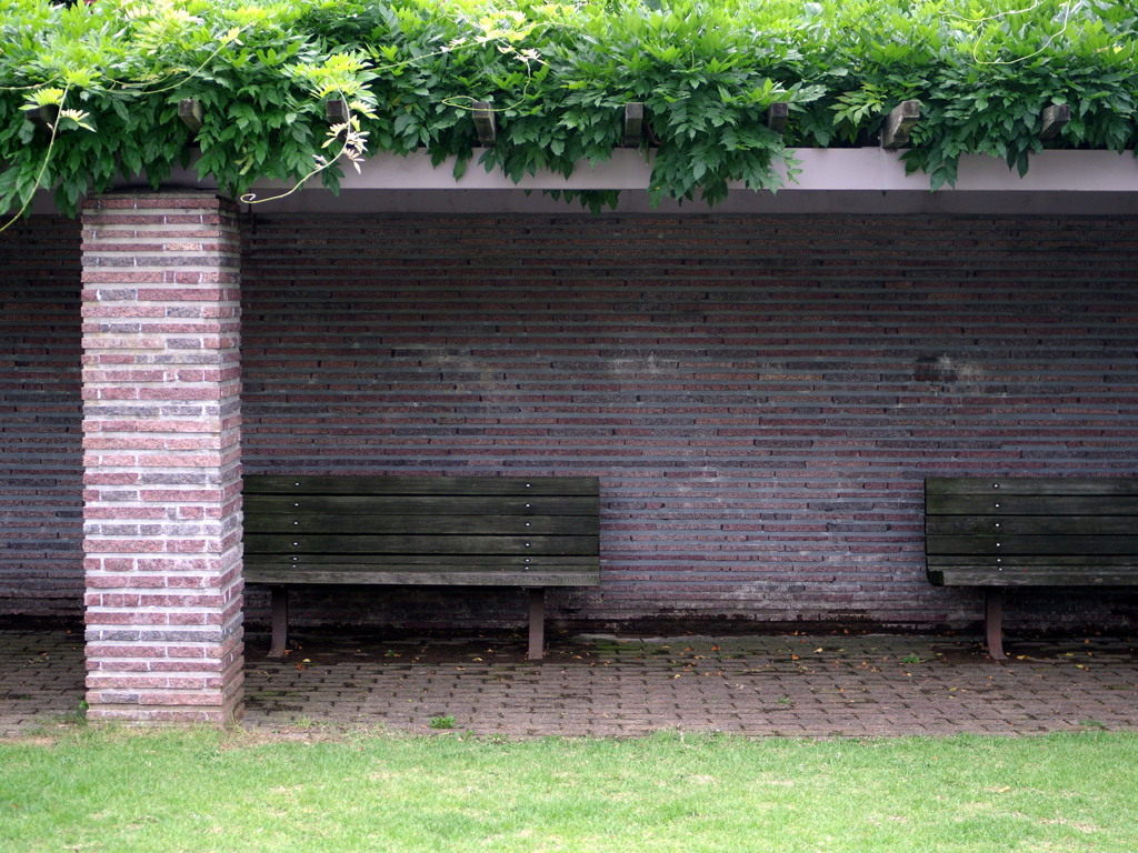 bench