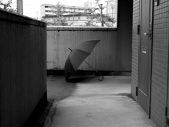 Rainday Pt.4