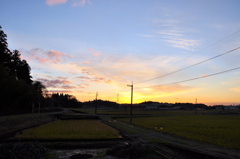 蒼から朱へと
