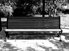 日の当たらない椅子