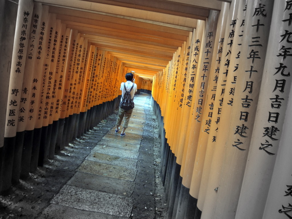 幻想の中を歩く ~with Cannon