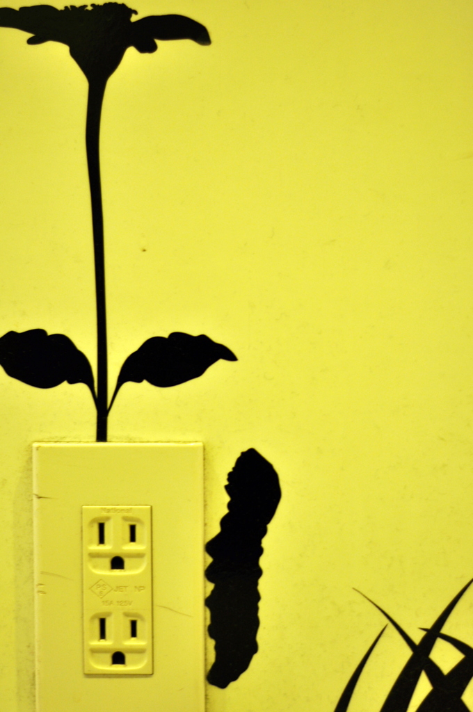 FLOWER