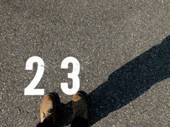 23