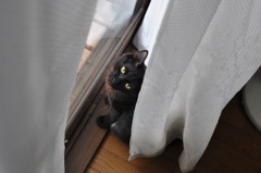 そんなに