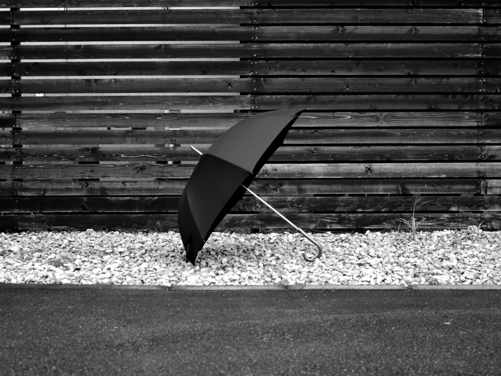Rainday Pt.3