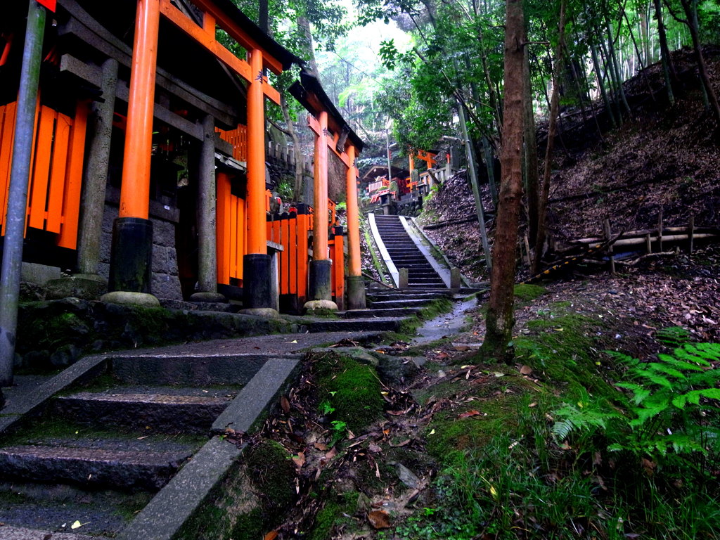 千本鳥居の向こう