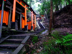 千本鳥居の向こう