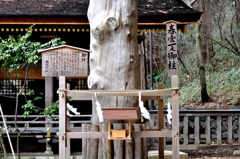 御柱